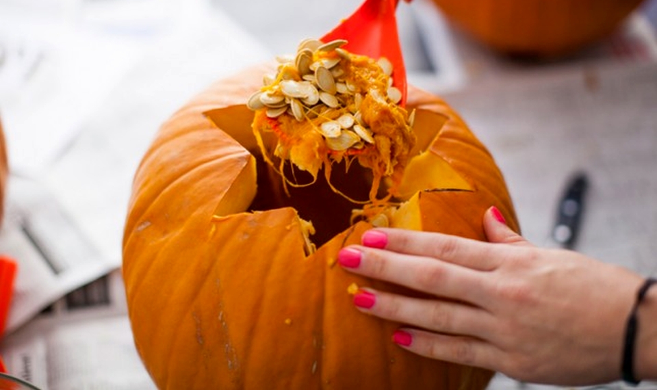 scoop out everything from Pumpkin