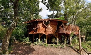 Piggledy Treehouse by Eva Johnson