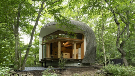 Shell House made with plastered Earth
