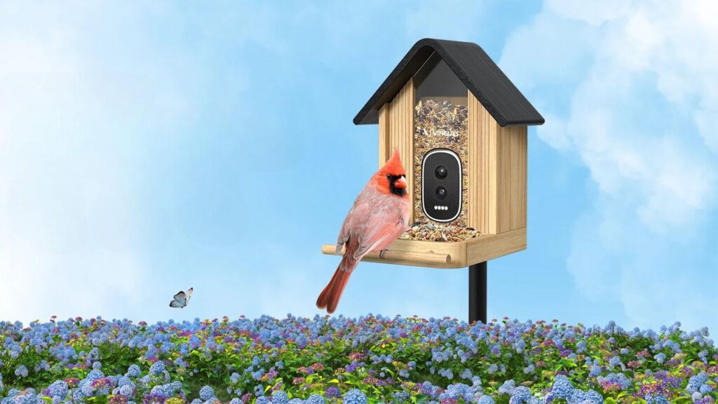 VINGUYS Smart Bird Feeder V-Feeder Bamboo - 1